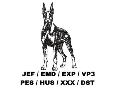 Doberman Pinscher Outline Sketch - Full Body