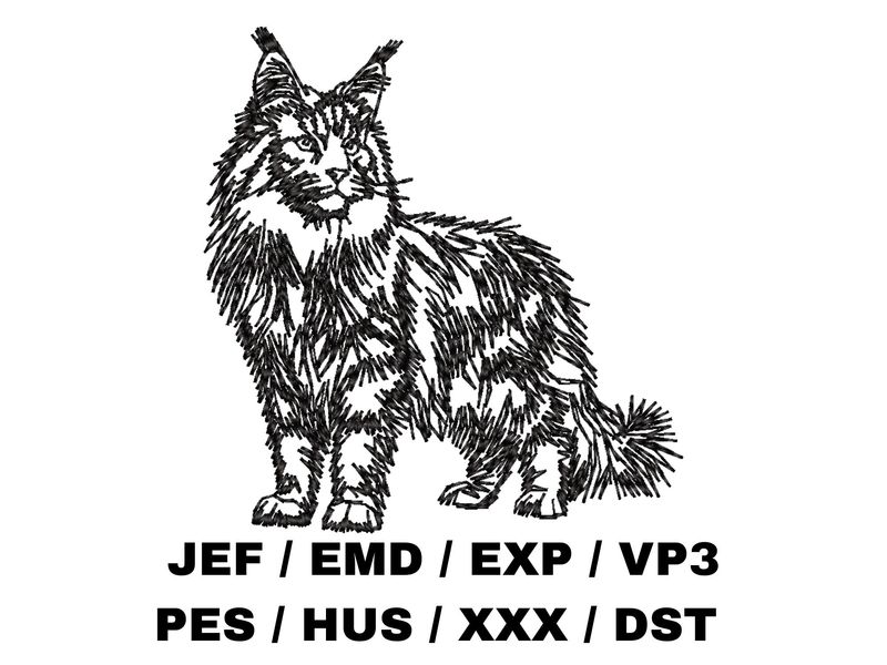 Maine Coon Outline Sketch - Full Body