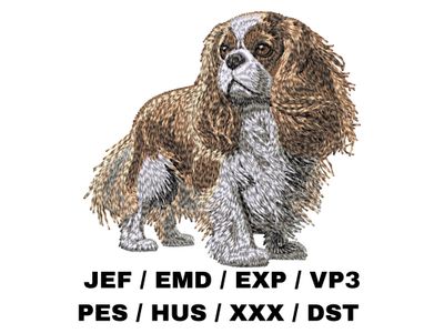 Cavalier King Charles Spaniel 7 - Full Body