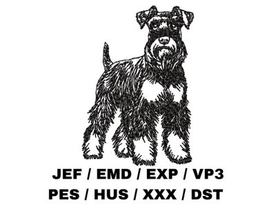 Miniature Schnauzer Outline Sketch - Full Body