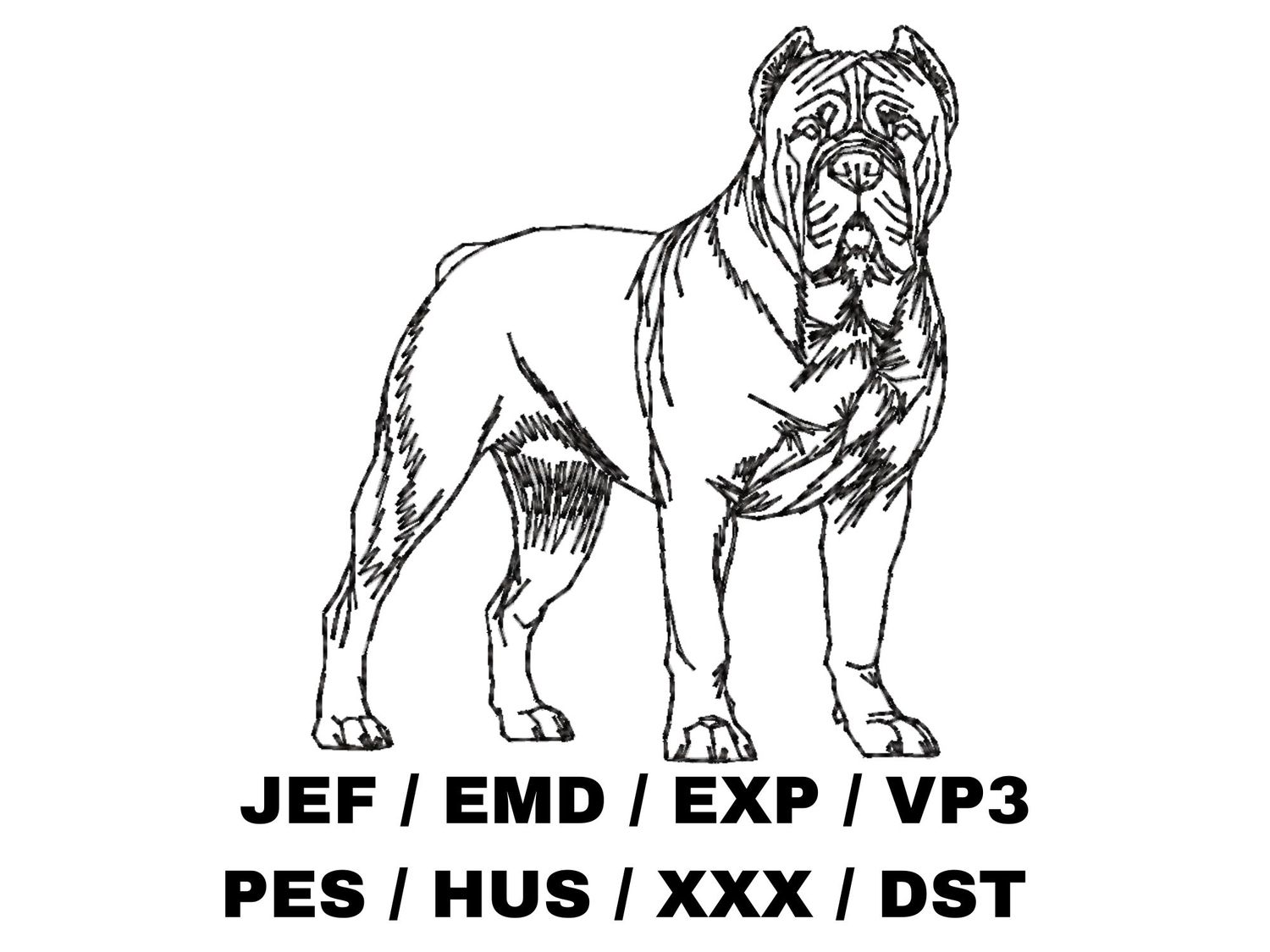 Cane Corso Outline Sketch - Full Body