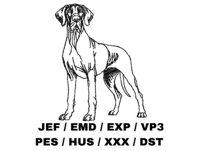 Great Dane Outline Sketch - Full Body