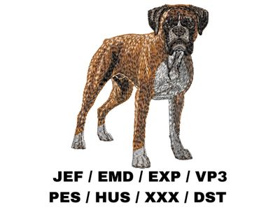 Boxer 6 - Full Body