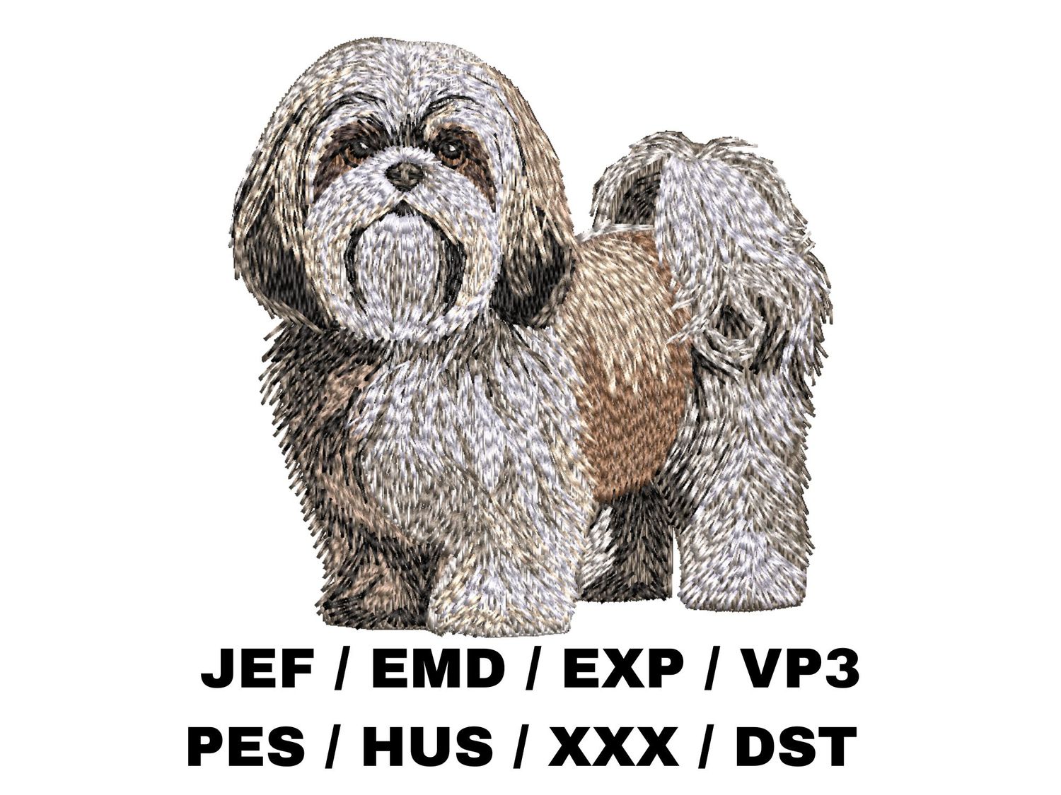 Shih Tzu 3 - Full Body