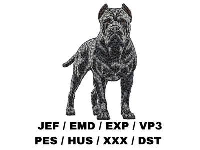 Cane Corso 4 - Full Body