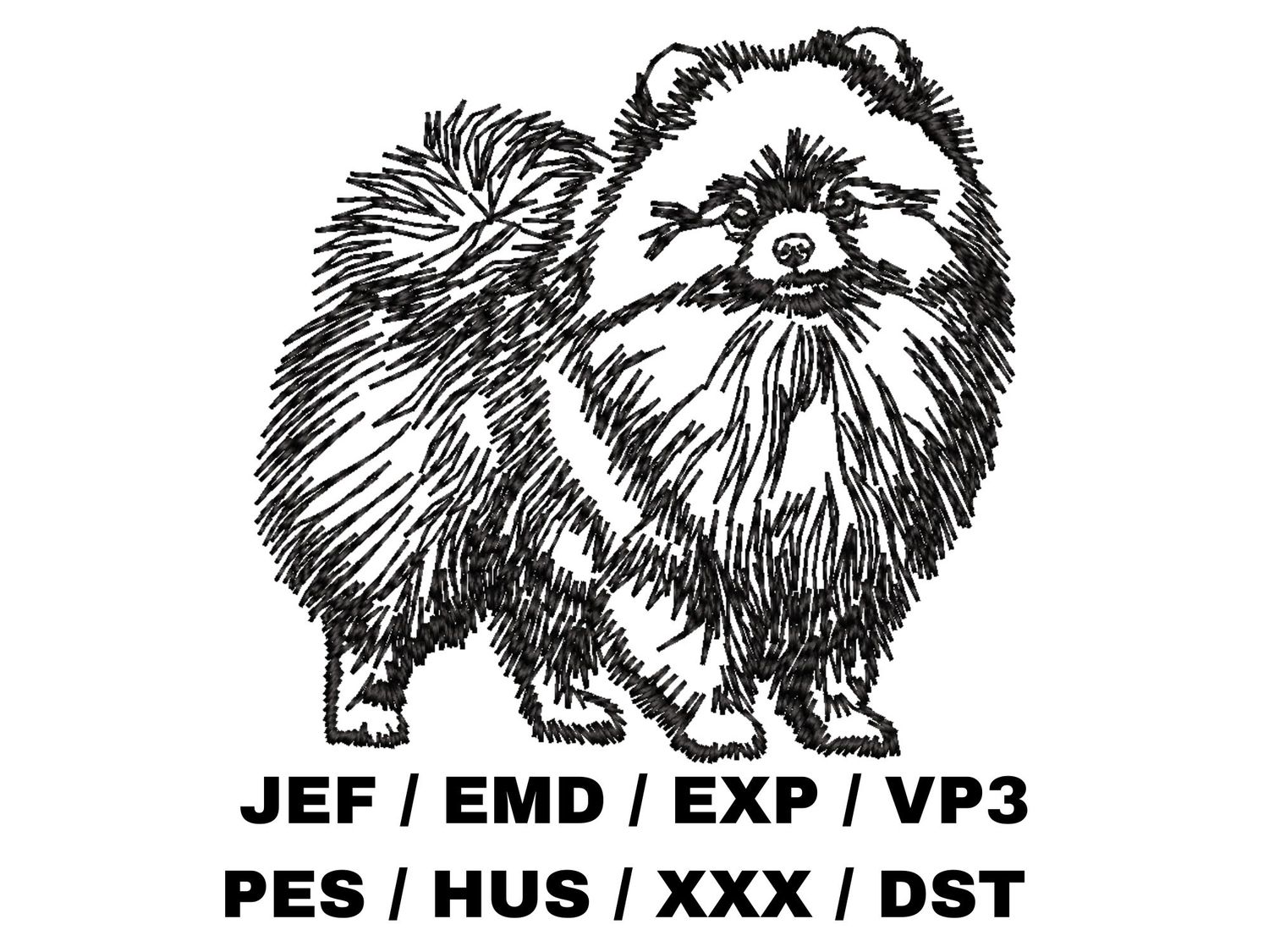 Pomeranian Outline Sketch - Full Body