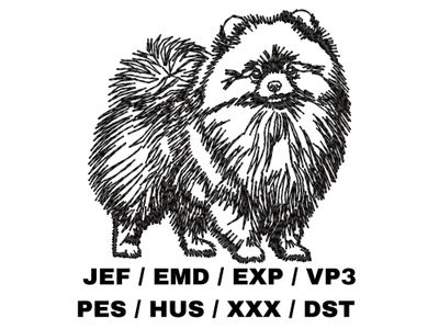 Pomeranian Outline Sketch - Full Body