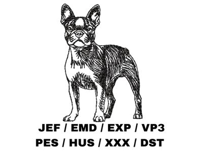 Boston Terrier Outline Sketch - Full Body