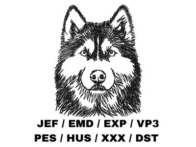 Siberian Husky Outline Sketch