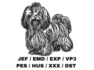 Havanese Outline Sketch - Full Body