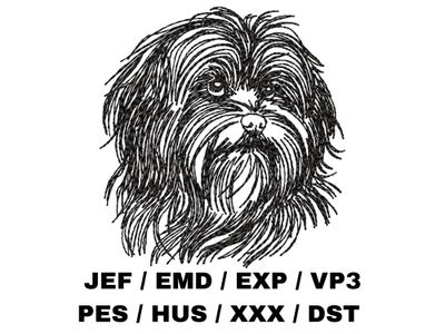 Havanese Outline Sketch