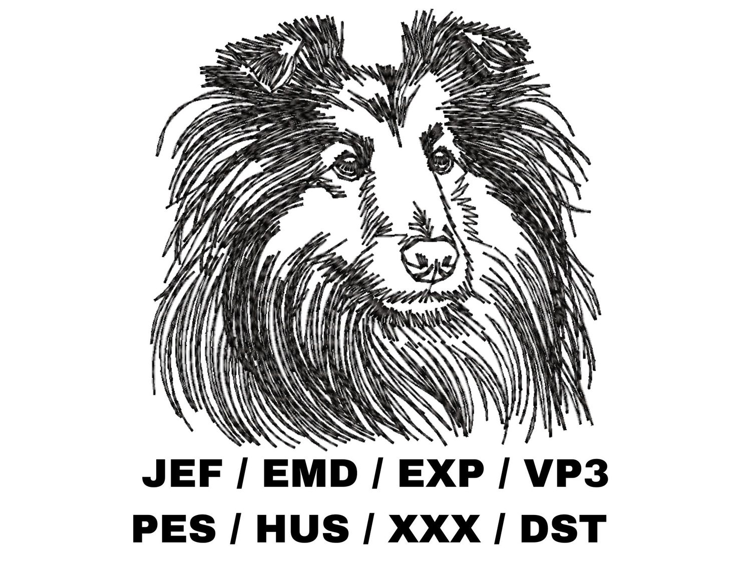 Shetland Sheepdog Outline Sketch
