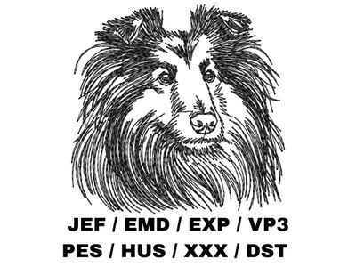 Shetland Sheepdog Outline Sketch