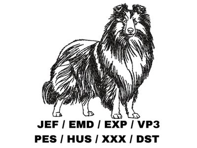 Shetland Sheepdog Outline Sketch - Full Body