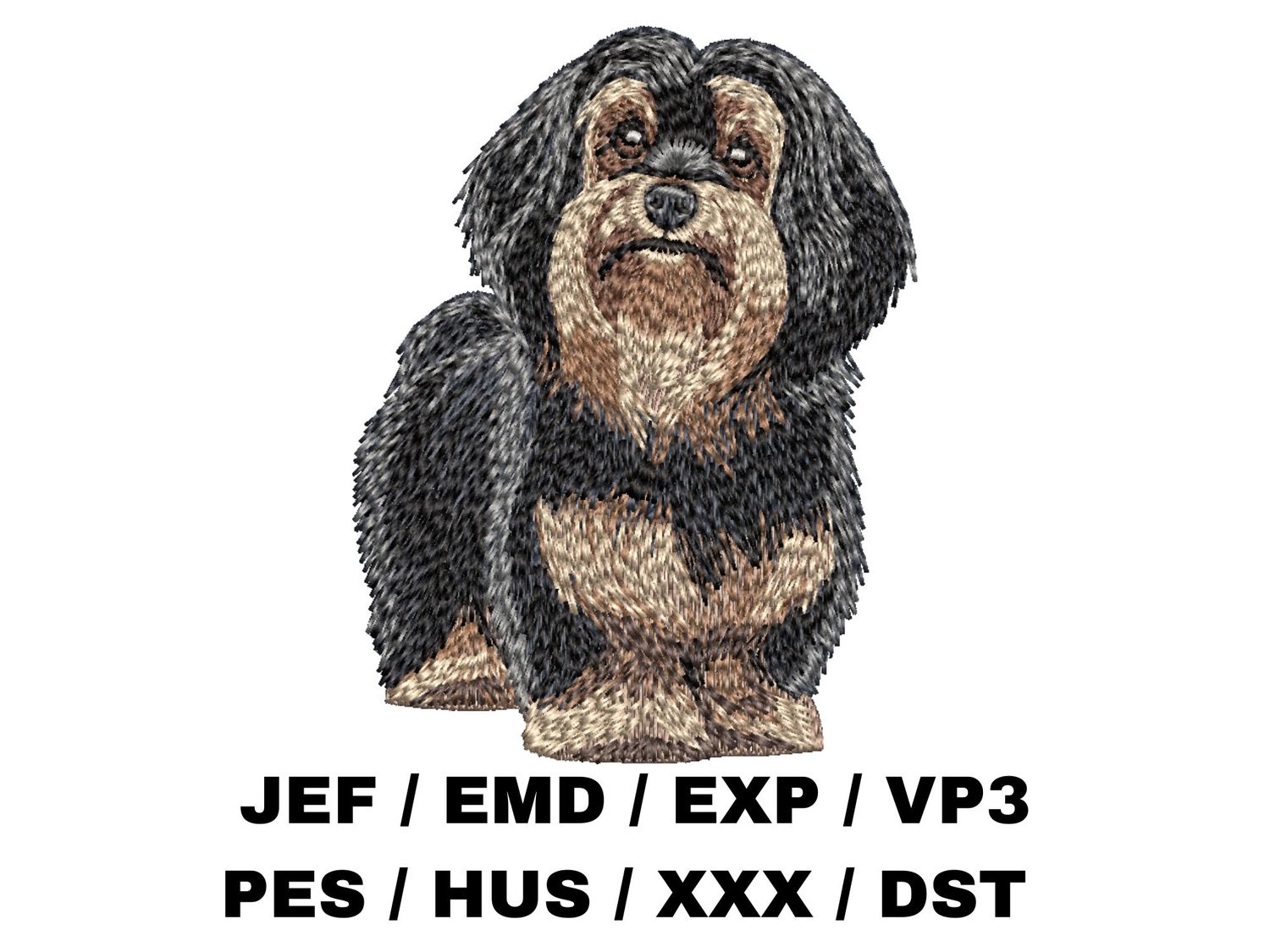 Havanese 7 - Full Body