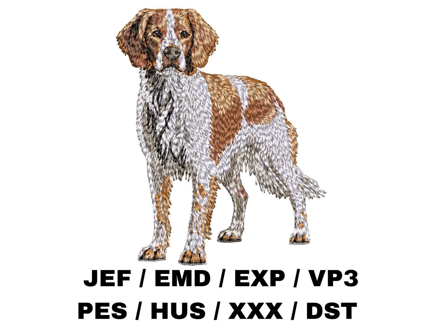 Brittany Spaniel 2 - Full Body