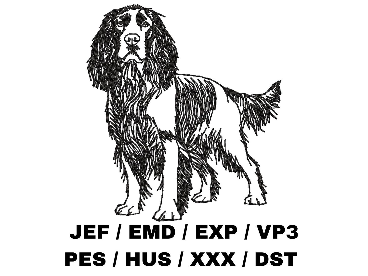 English Springer Spaniel Outline Sketch - Full Body