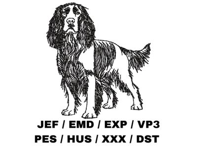 English Springer Spaniel Outline Sketch - Full Body