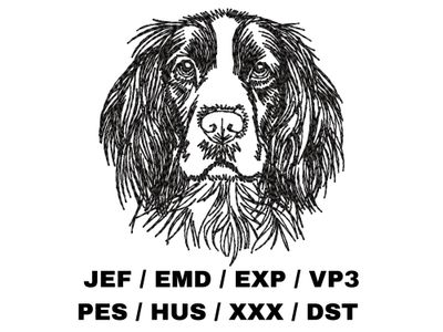 English Springer Spaniel Outline Sketch
