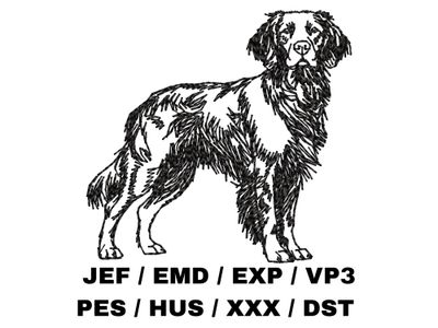 Brittany Spaniel Outline Sketch - Full Body