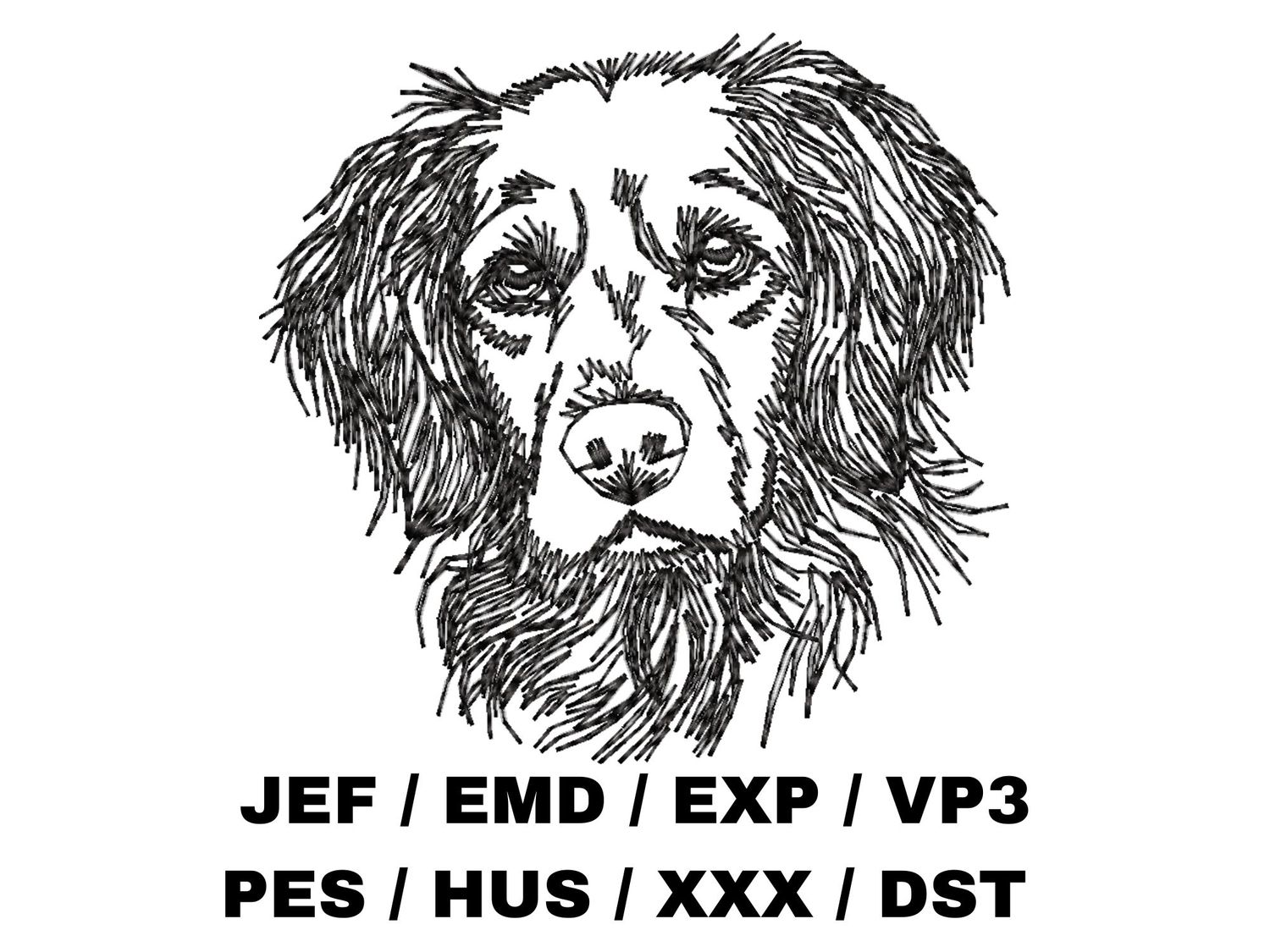 Brittany Spaniel Outline Sketch