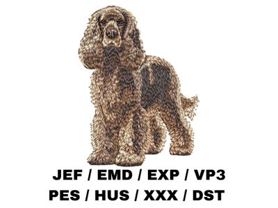 American Cocker Spaniel 2 - Full Body