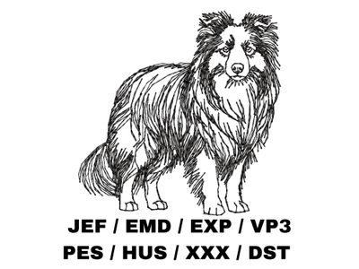 Miniature American Shepherd Outline Sketch - Full Body