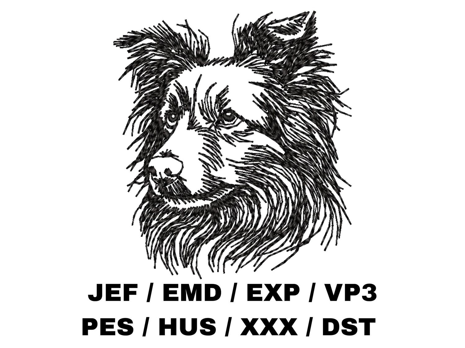 Miniature American Shepherd Outline Sketch