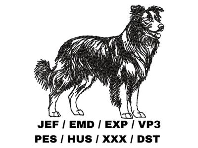 Border Collie Outline Sketch - Full Body
