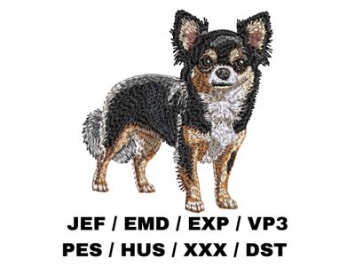 Chihuahua 5 - Full Body
