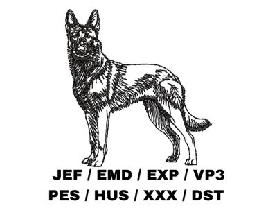 Belgian Malinois Outline Sketch - Full Body
