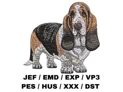 Basset Hound 2 - Full Body