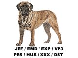 Bullmastiff 4 - Full Body