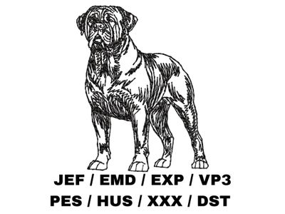 Bullmastiff Outline Sketch - Full Body