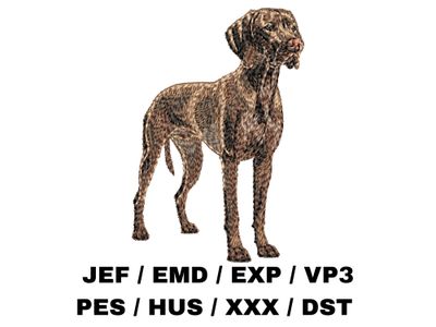 Vizsla 2 - Full Body