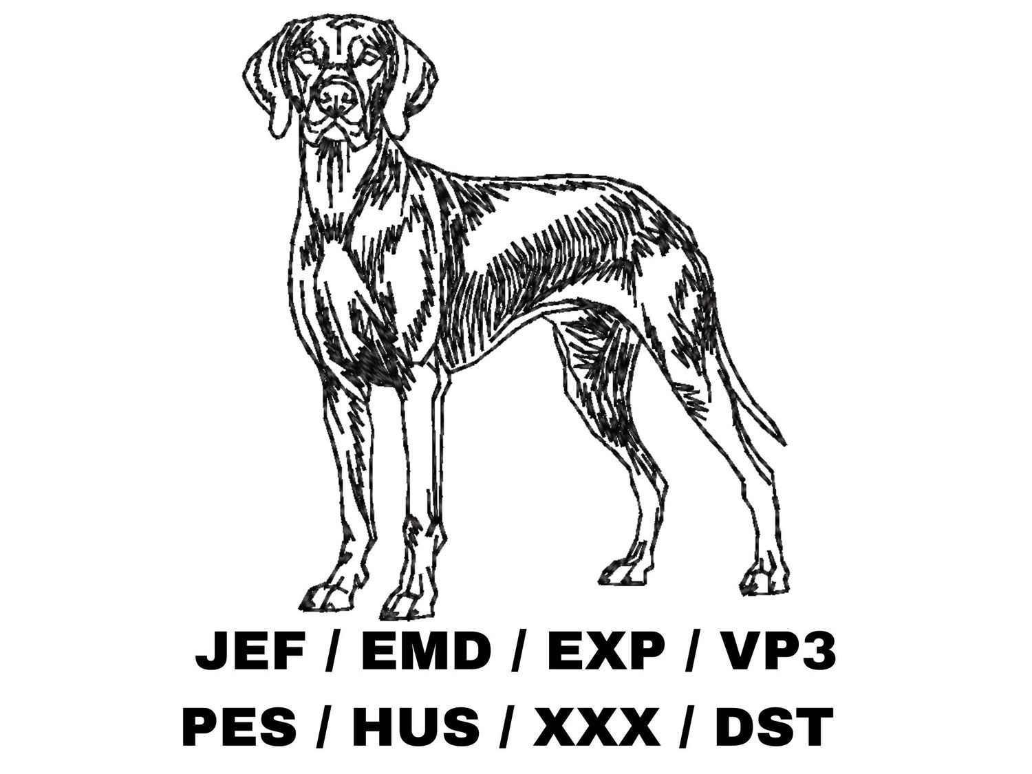 Vizsla Outline Sketch - Full Body