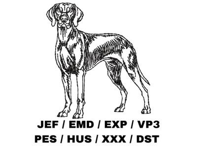 Vizsla Outline Sketch - Full Body