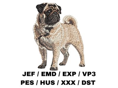 Pug 6 - Full Body