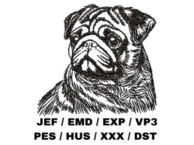 Pug Outline Sketch