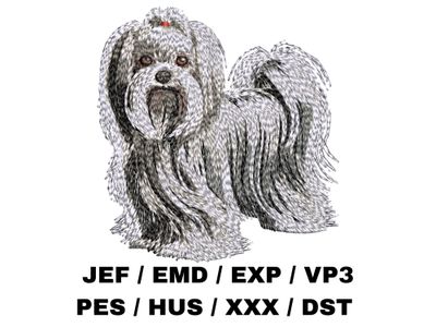 Maltese 4 - Full Body
