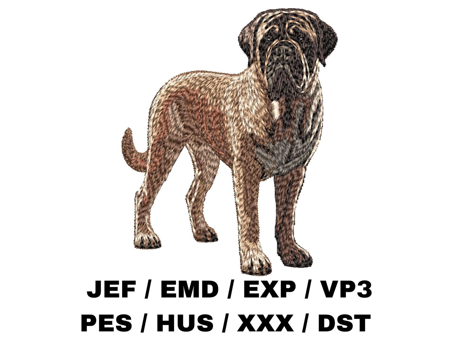 English Mastiff 2 - Full Body