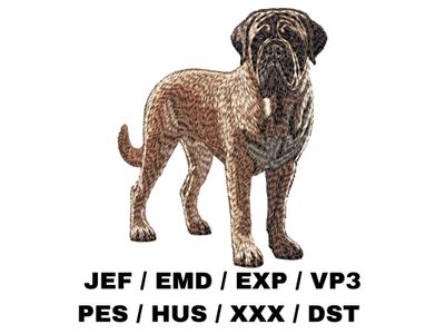 English Mastiff 2 - Full Body