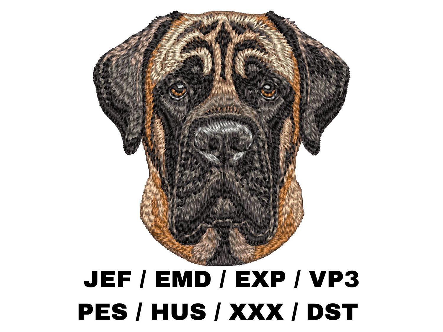 English Mastiff 5