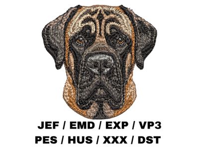 English Mastiff 5