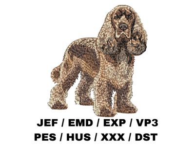 English Cocker Spaniel 6 - Full Body