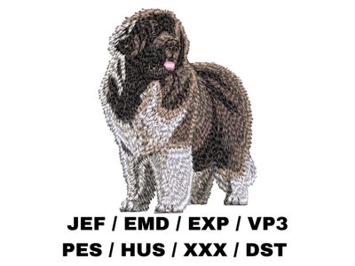 Newfoundland 3 - Full Body