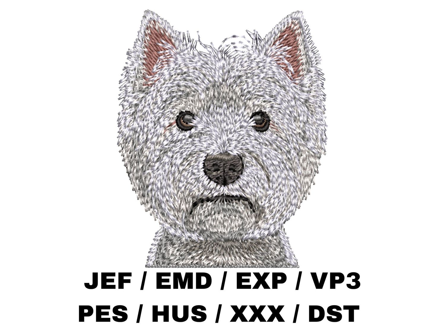 West Highland White Terrier 3