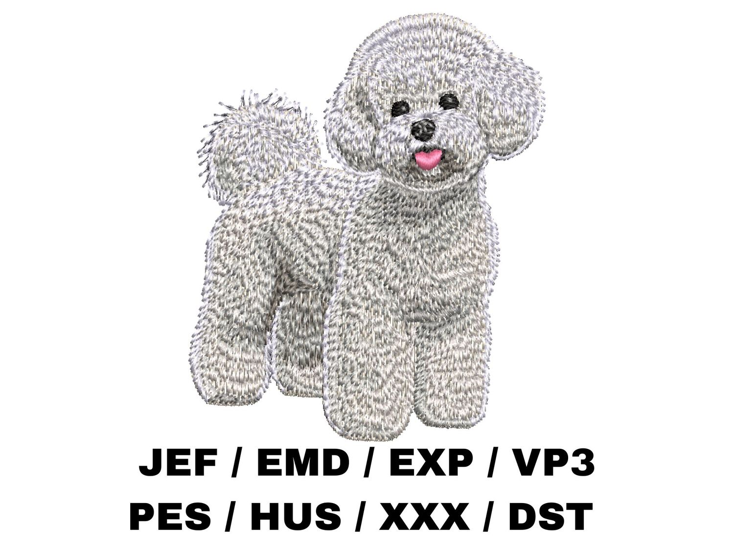 Bichon Frise 6 - Full Body