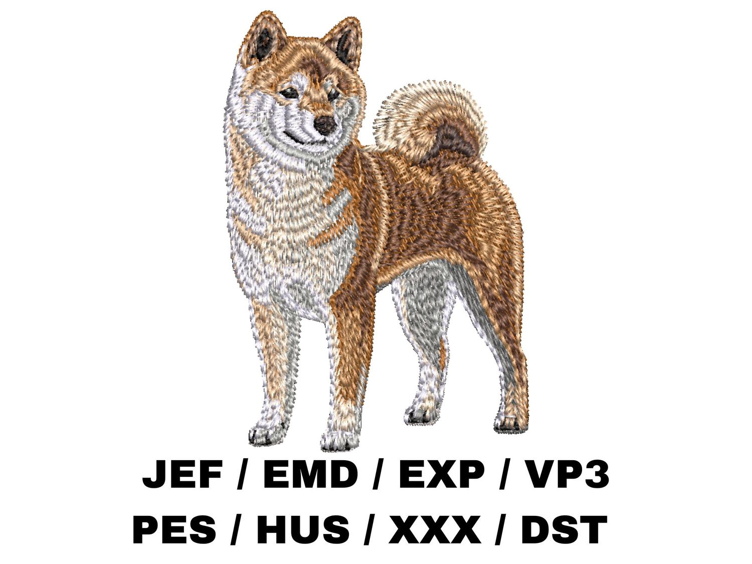 Shiba Inu 3 - Full Body