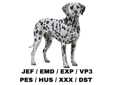 Dalmatian 2 - Full Body